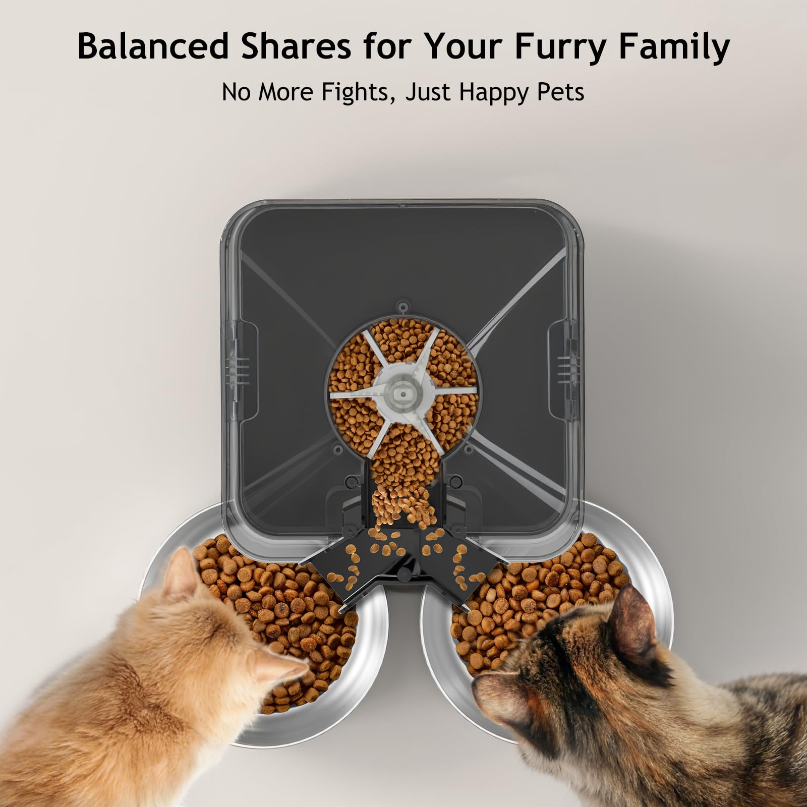 An application scenario or product detail of 2 bowl cat feeder - Image 4