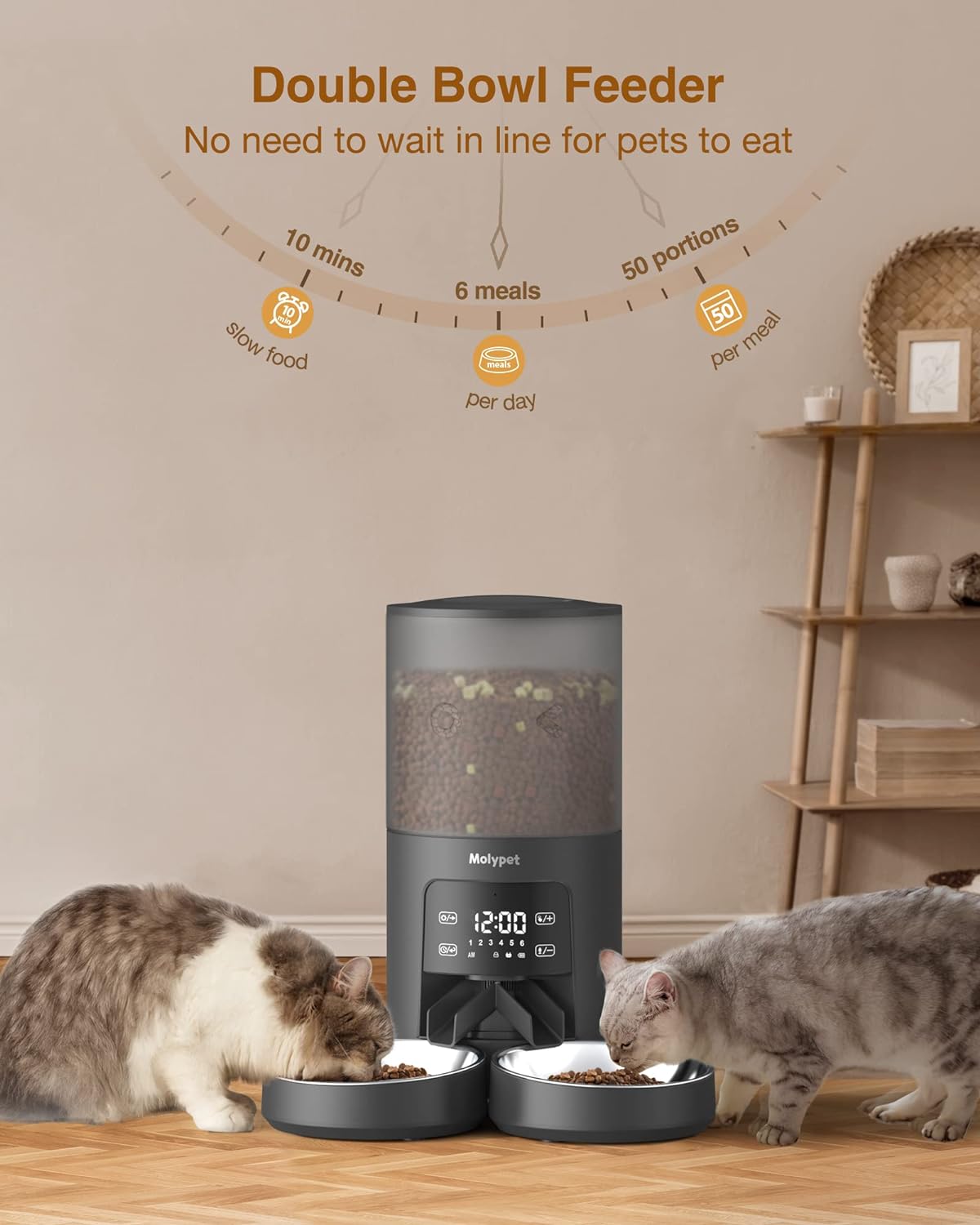 An application scenario or product detail of 2 bowl cat feeder - Image 6