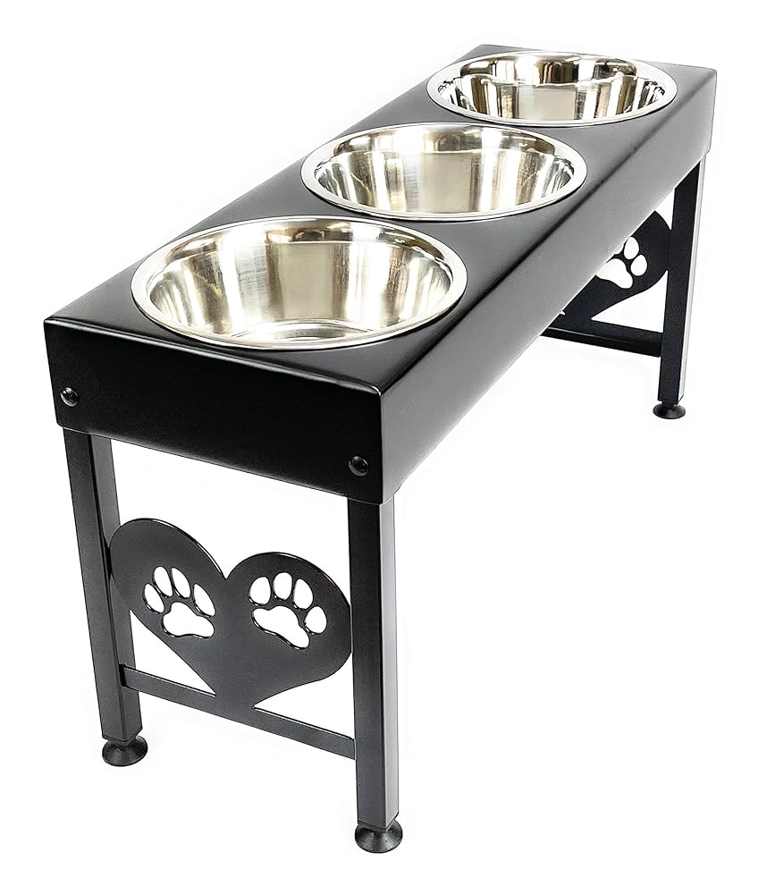 Featured image for the 3 bowl dog feeding station guide