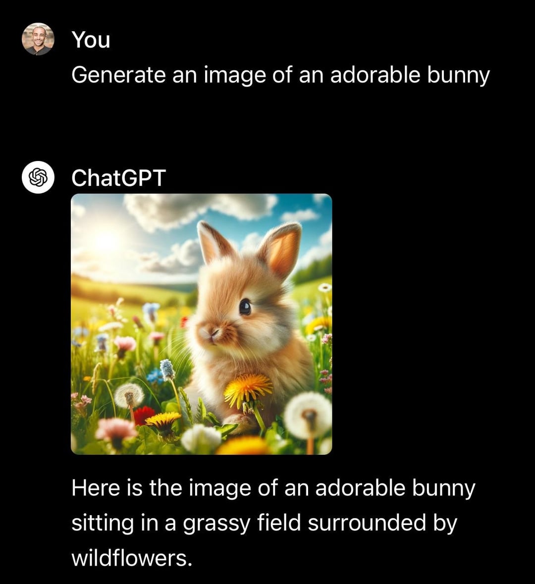 An application scenario or product detail of a happy rabbit - Image 2