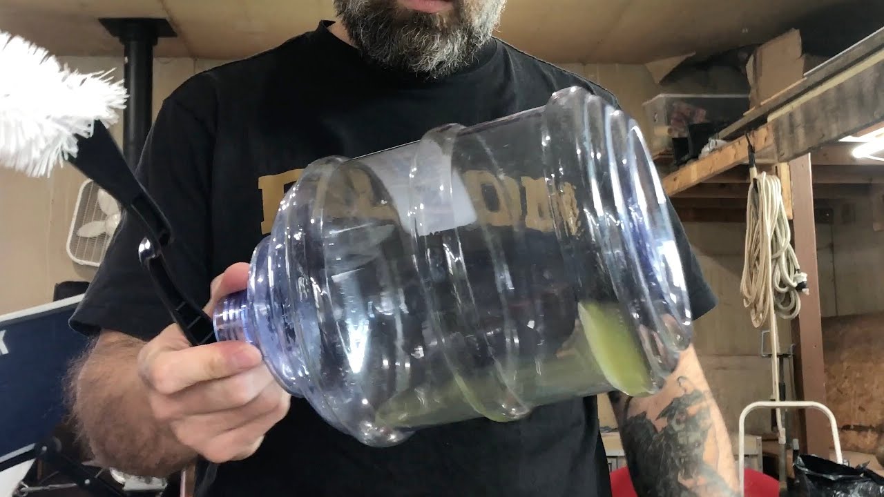 An application scenario or product detail of algae in dog water bowl - Image 14