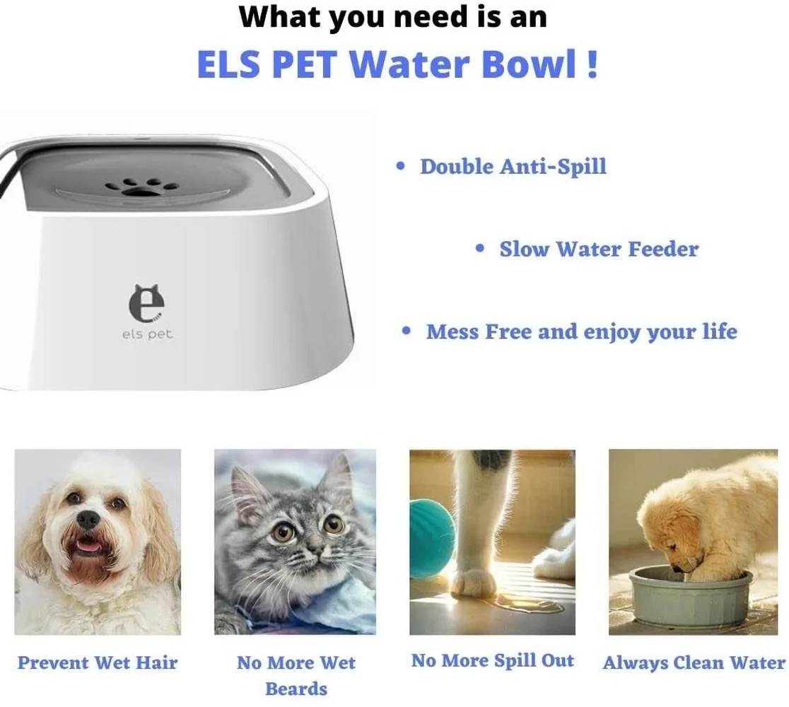 An application scenario or product detail of algae in dog water bowl - Image 21