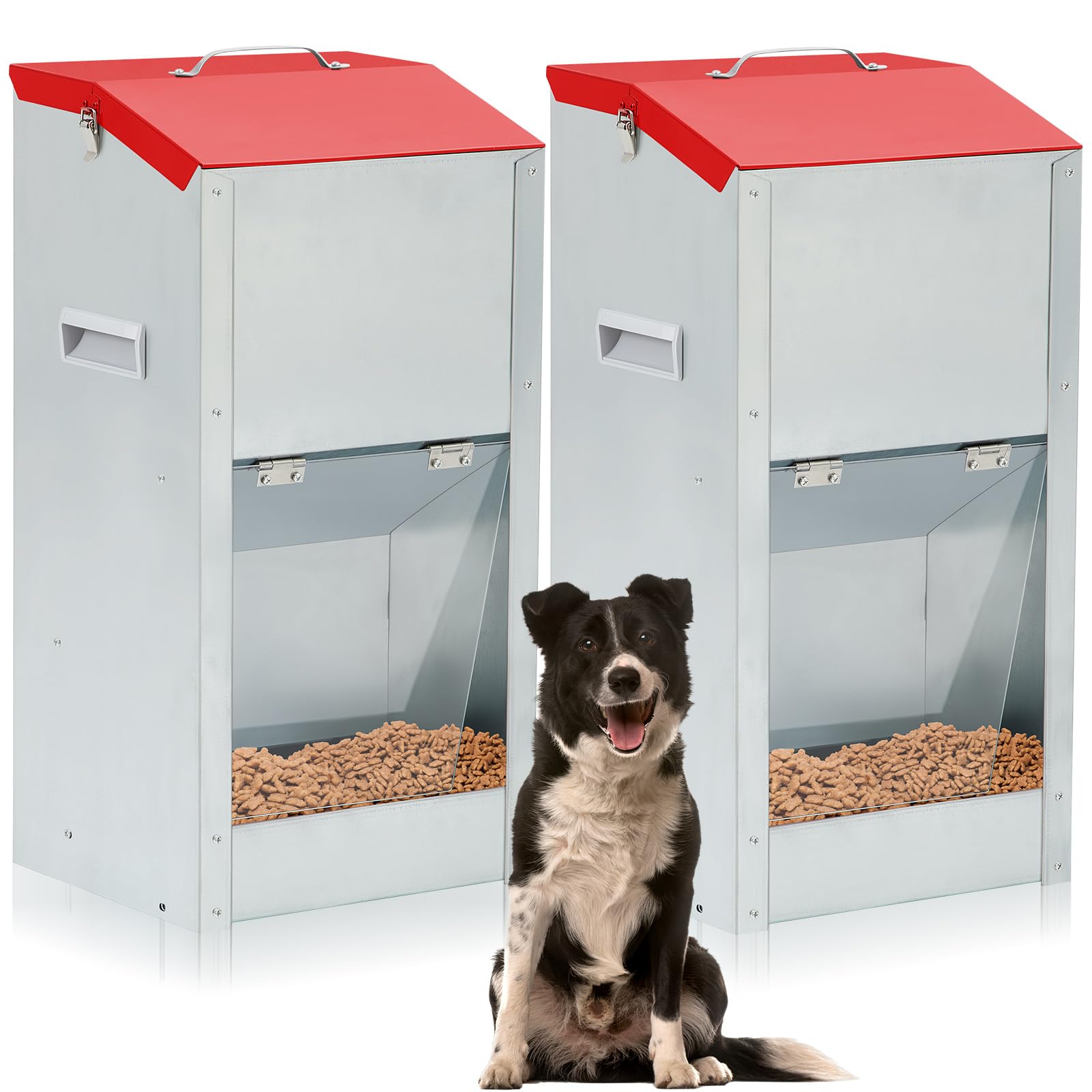 An application scenario or product detail of amazon automatic dog feeder - Image 16
