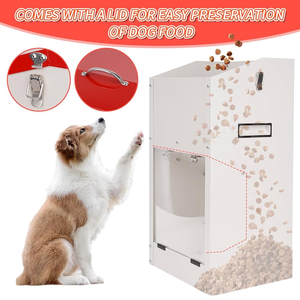 An application scenario or product detail of amazon automatic dog feeder - Image 21