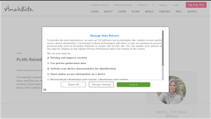 Ana White - Raised Pet Feeder