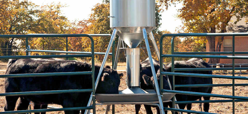 An application scenario or product detail of animal auto feeder - Image 18