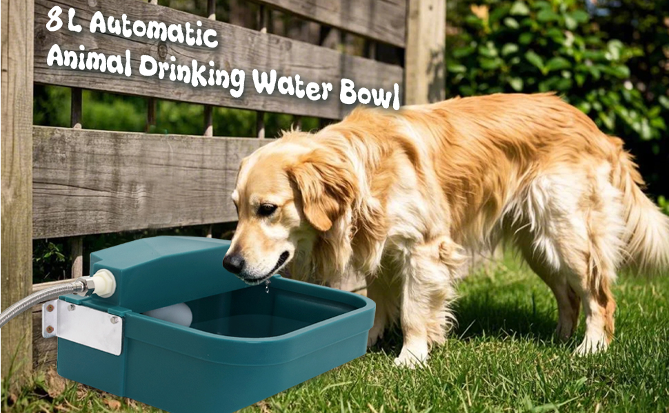 An application scenario or product detail of animal waterer mold - Image 10