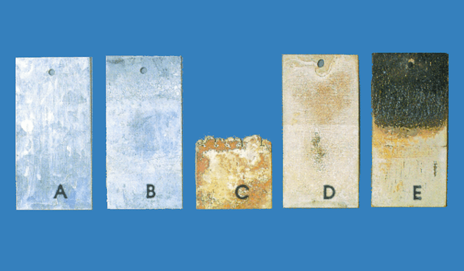 An application scenario or product detail of animal waterer mold - Image 13