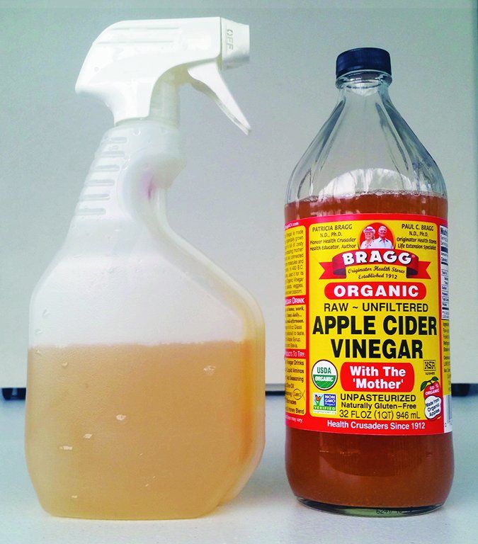 An application scenario or product detail of apple cider vinegar in dogs water bowl - Image 5
