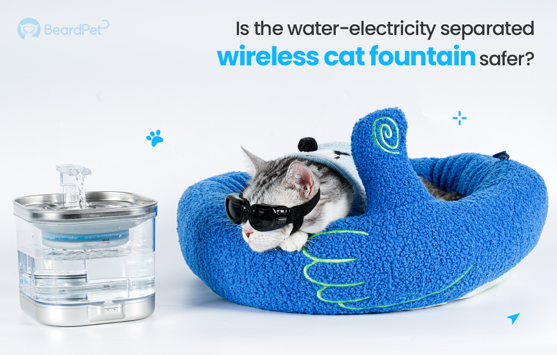An application scenario or product detail of are cat fountains safe - Image 4