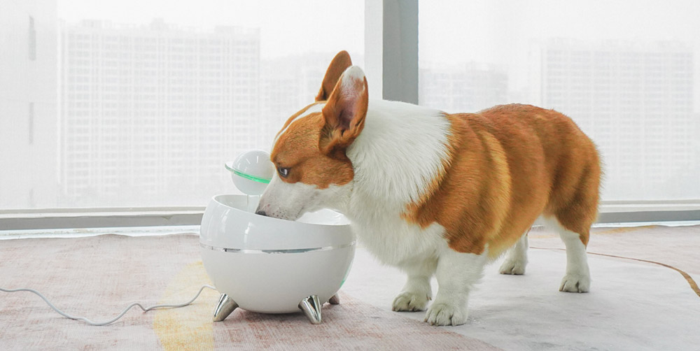 An application scenario or product detail of are cat fountains safe - Image 10