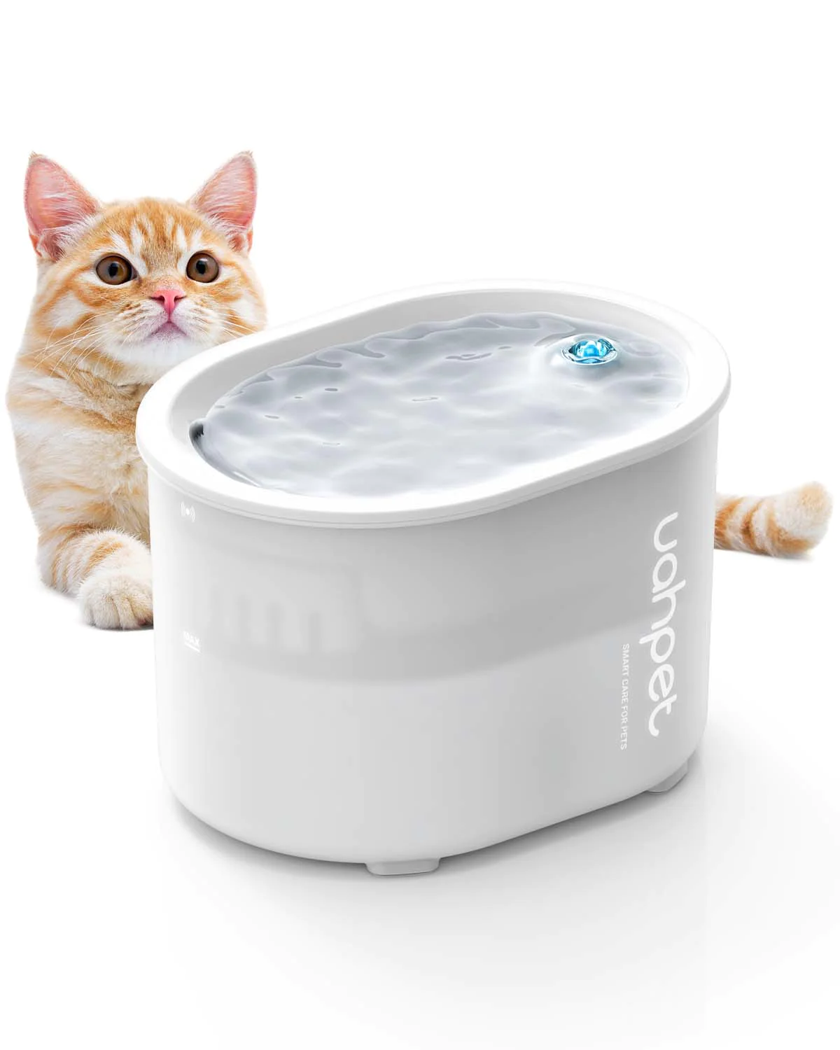 An application scenario or product detail of are cat water fountains safe - Image 5