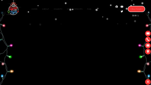 Arizona Lights in the Night - WonderBowl Selective Pet Feeder