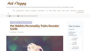 Ask Floppy - Rabbit Care Essentials