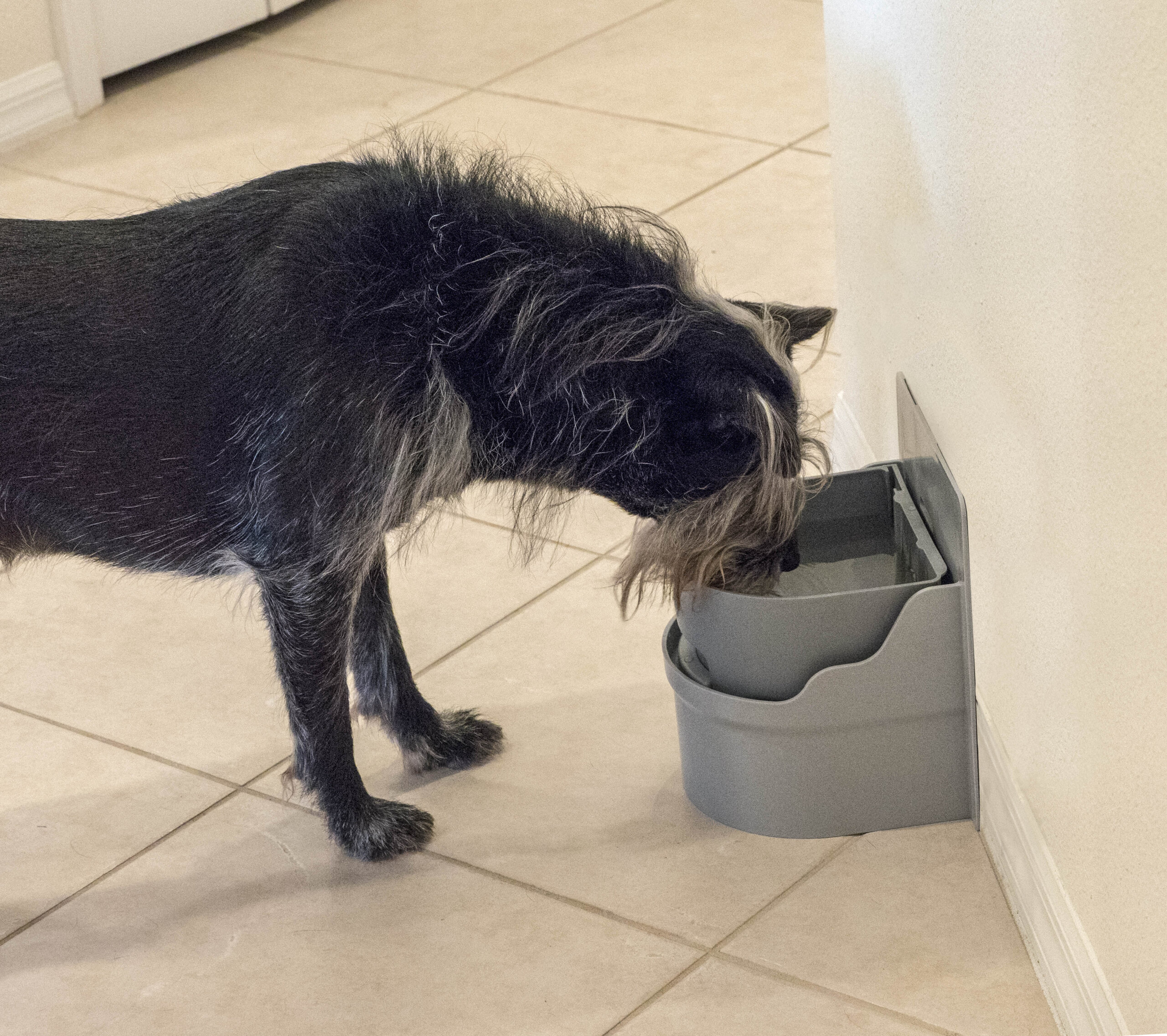 An application scenario or product detail of auto cat water bowl - Image 15