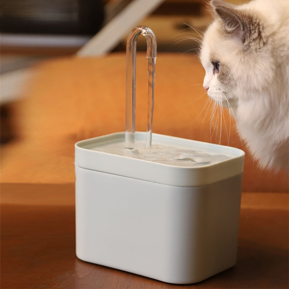 An application scenario or product detail of auto cat water dispenser - Image 6