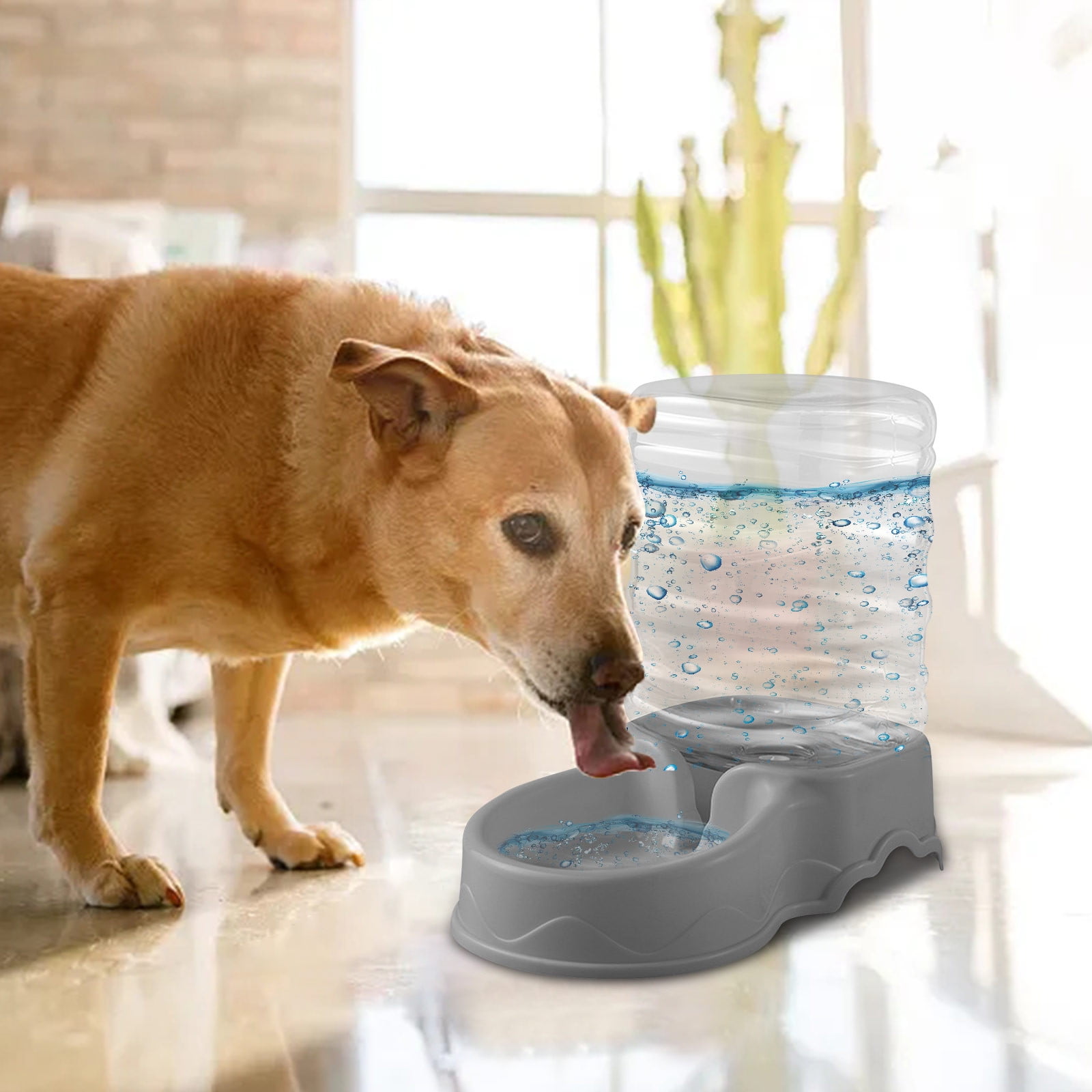 An application scenario or product detail of auto dispensing dog food - Image 3