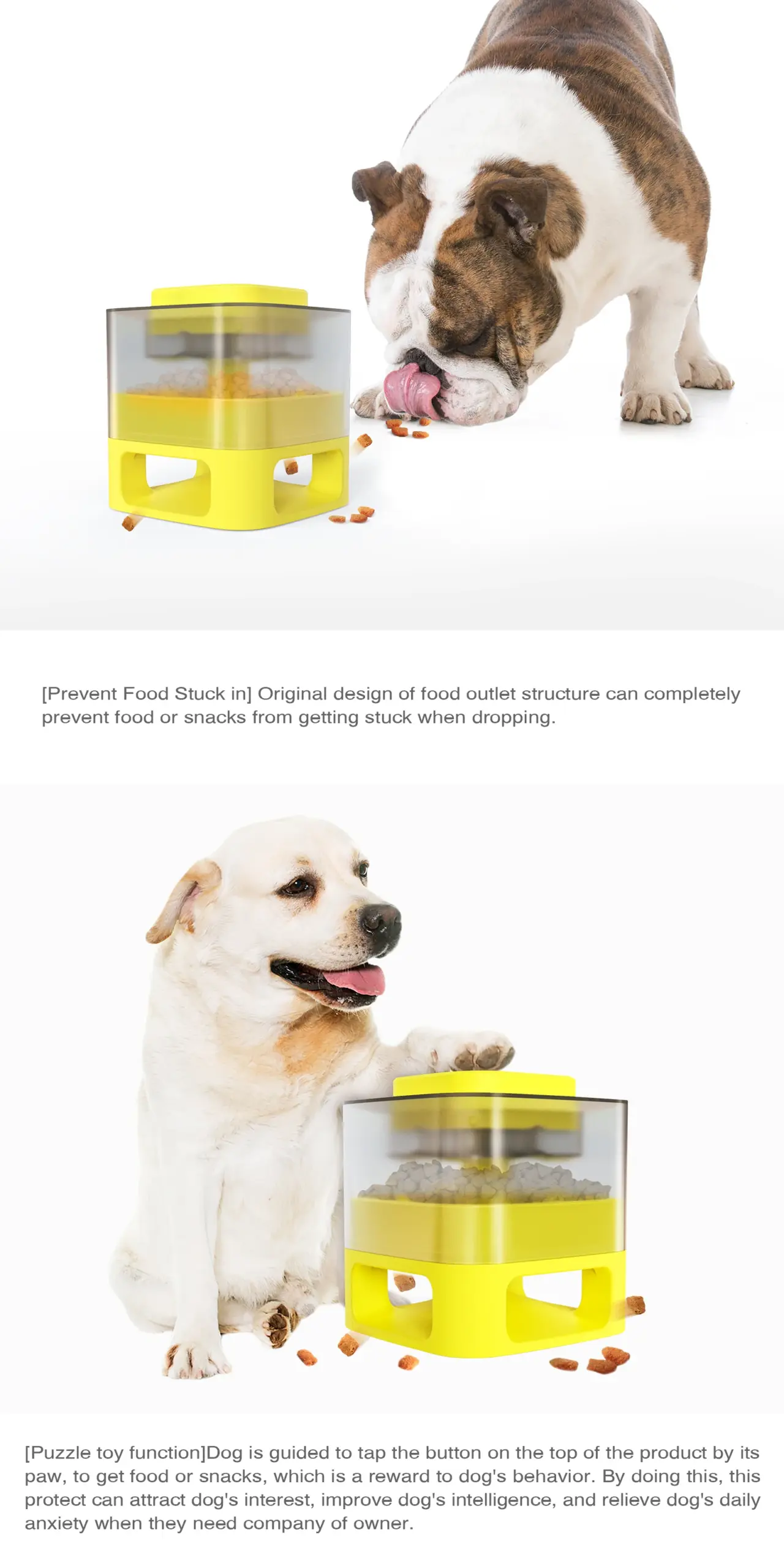An application scenario or product detail of auto dispensing dog food - Image 16