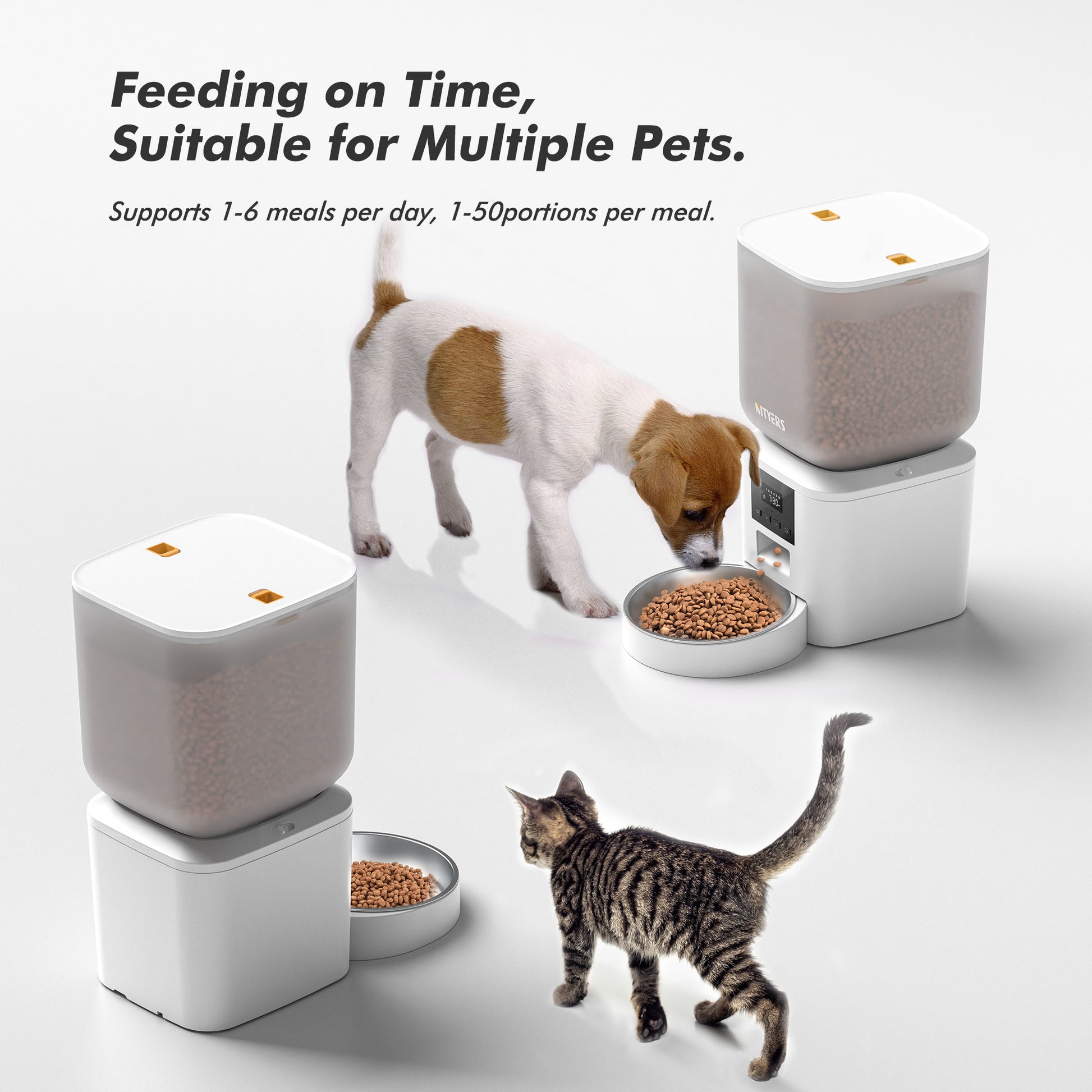 An application scenario or product detail of auto dispensing dog food - Image 22