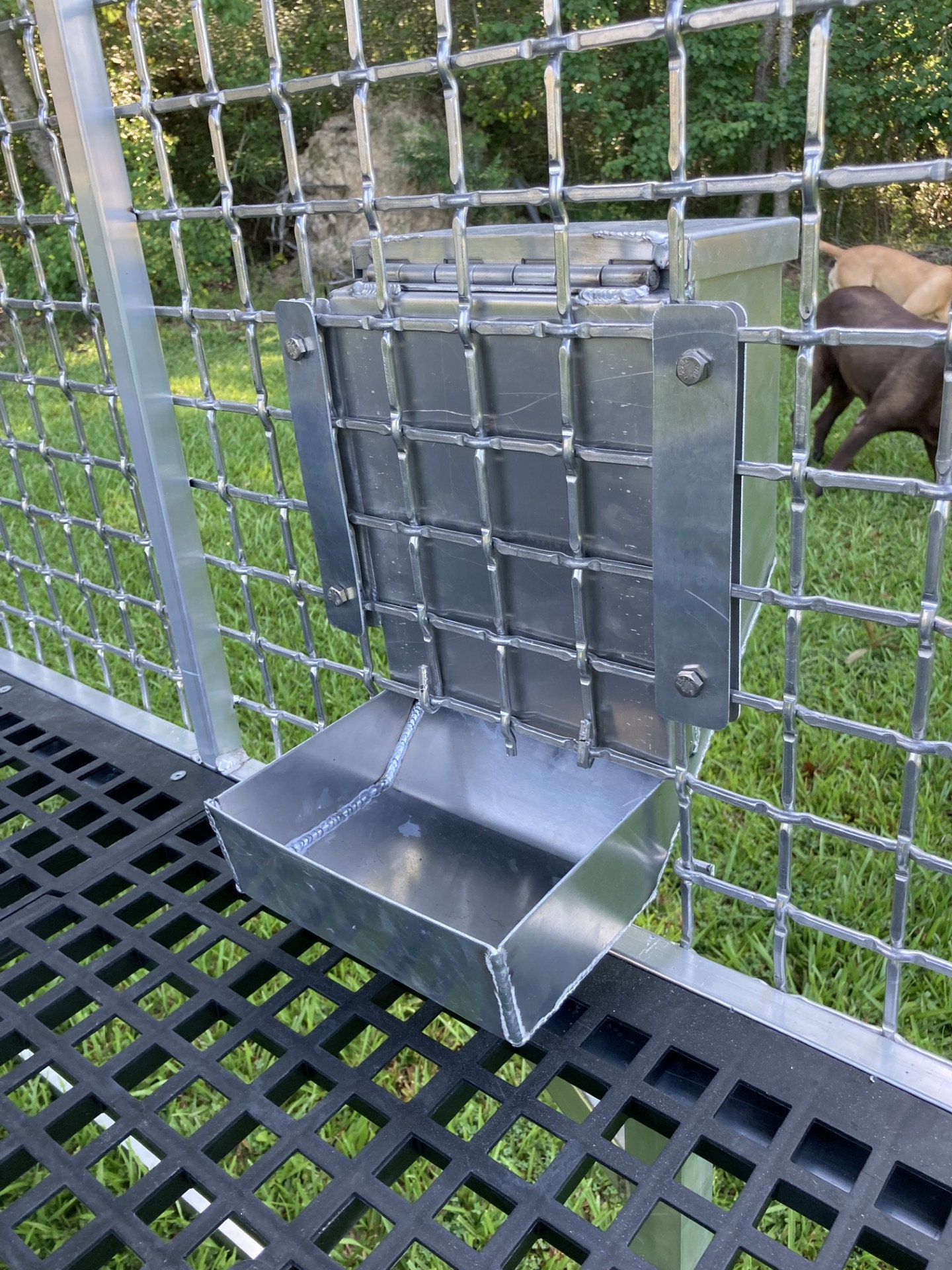 An application scenario or product detail of auto dog feeder - Image 13
