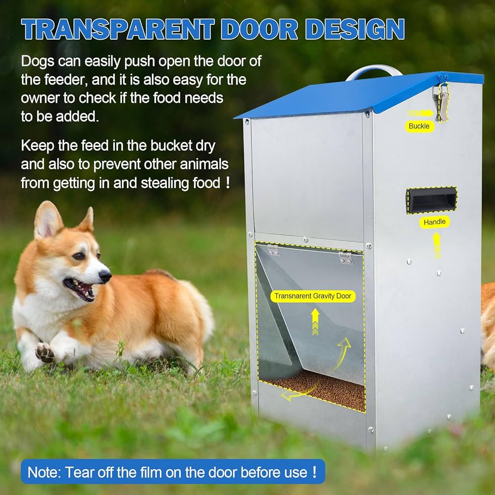 An application scenario or product detail of auto dog feeder outdoor - Image 15