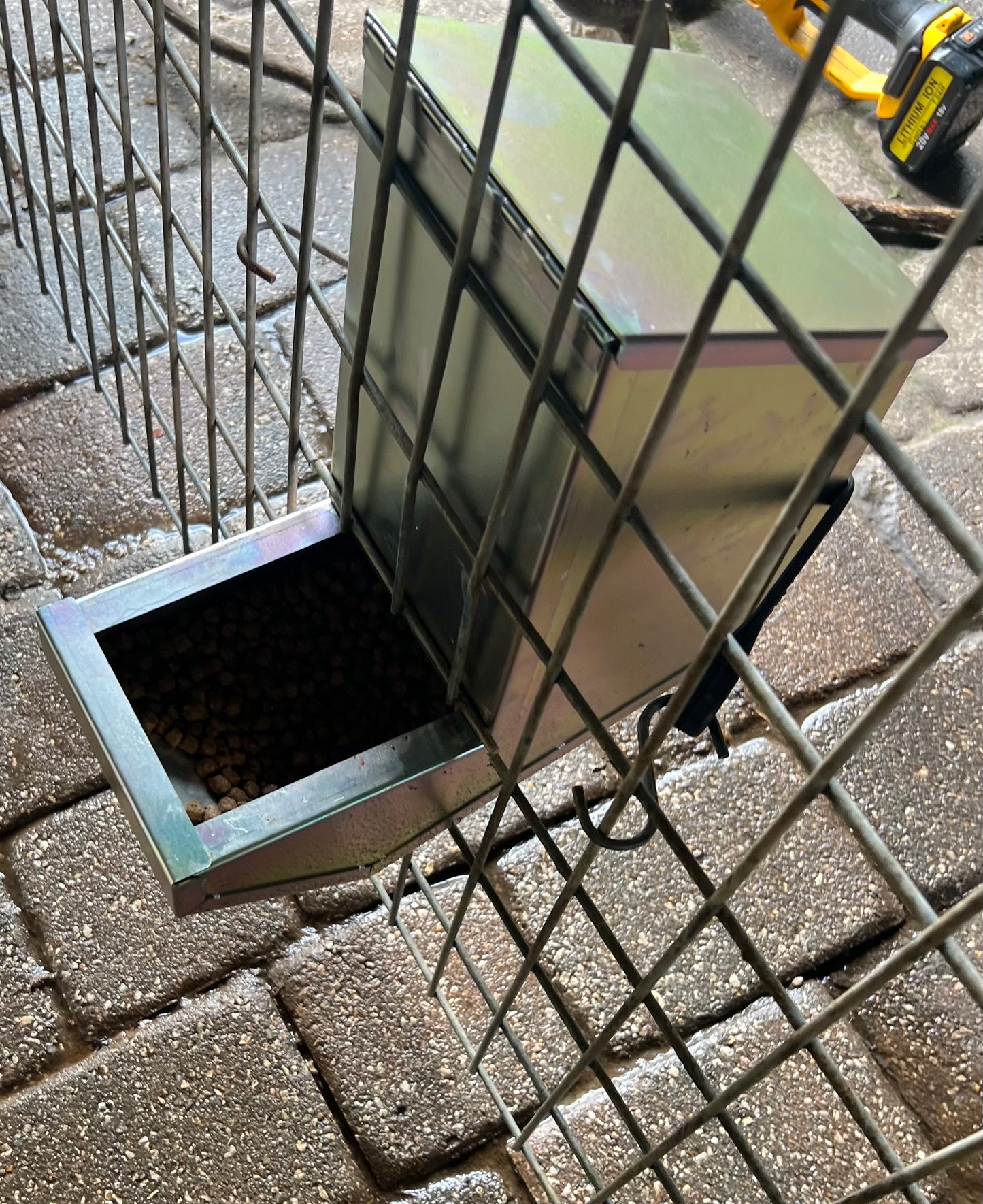 An application scenario or product detail of auto dog feeder outdoor - Image 22