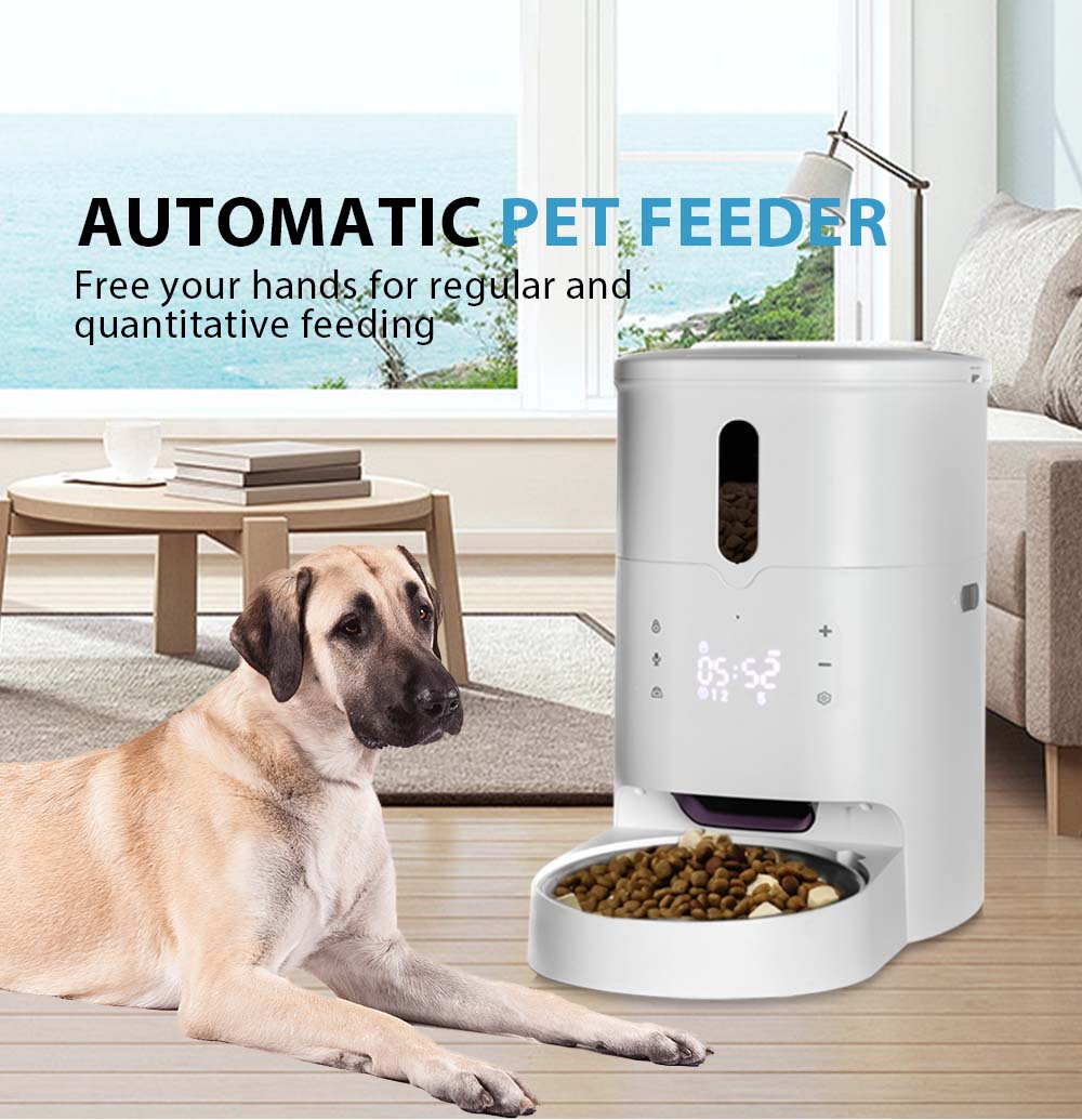 An application scenario or product detail of auto dog food - Image 5