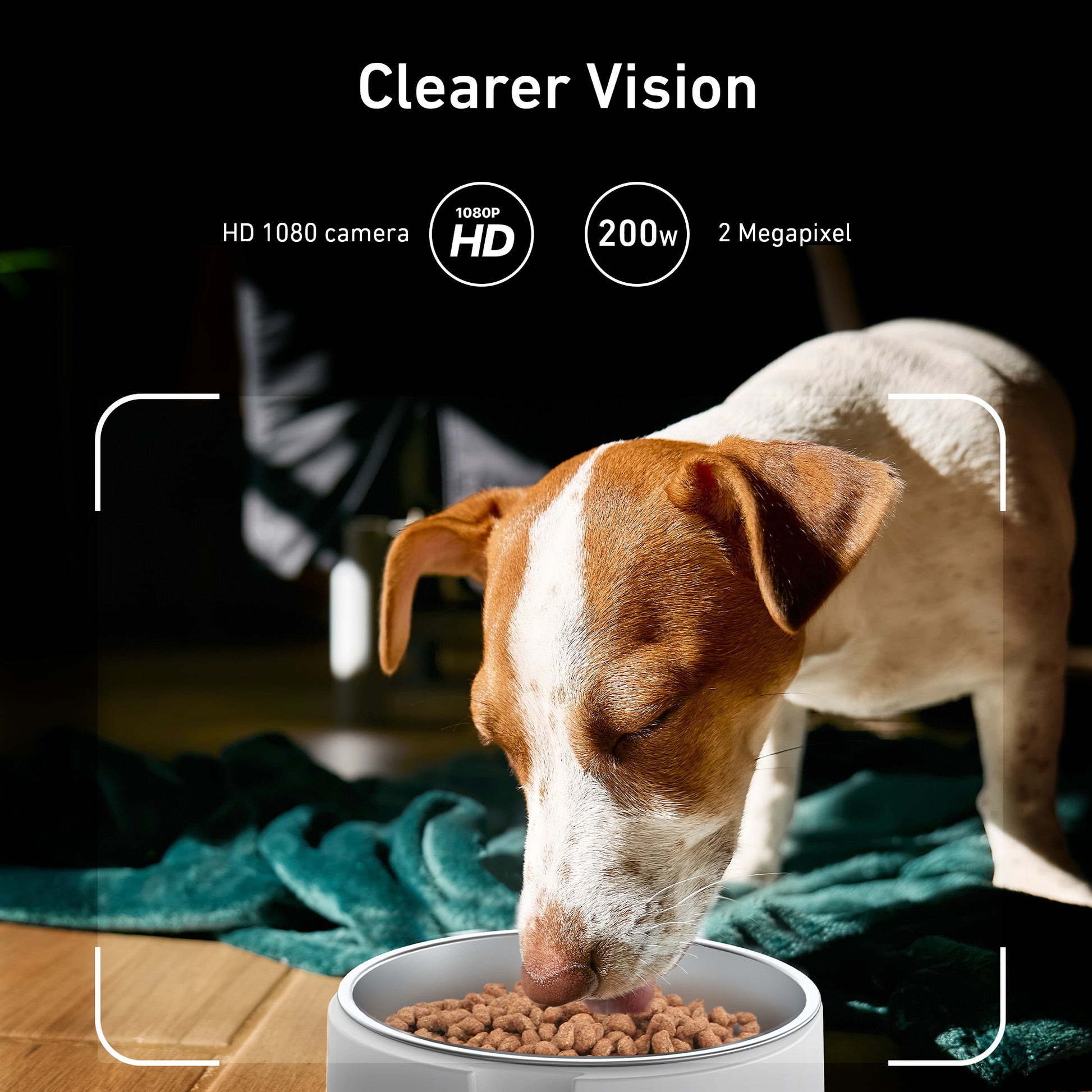 An application scenario or product detail of auto dog food - Image 14