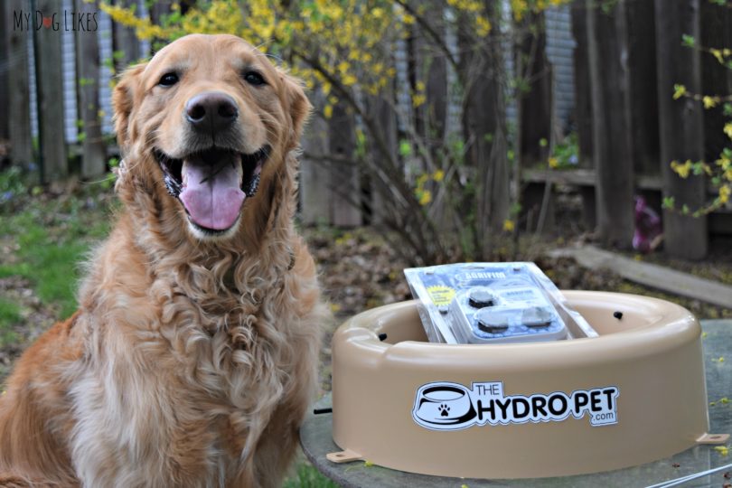 An application scenario or product detail of auto dog water - Image 11