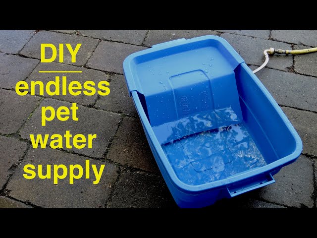 An application scenario or product detail of auto dog water - Image 15