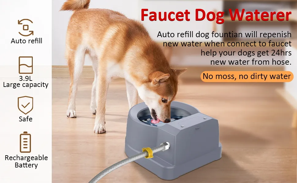 An application scenario or product detail of auto dog water - Image 16