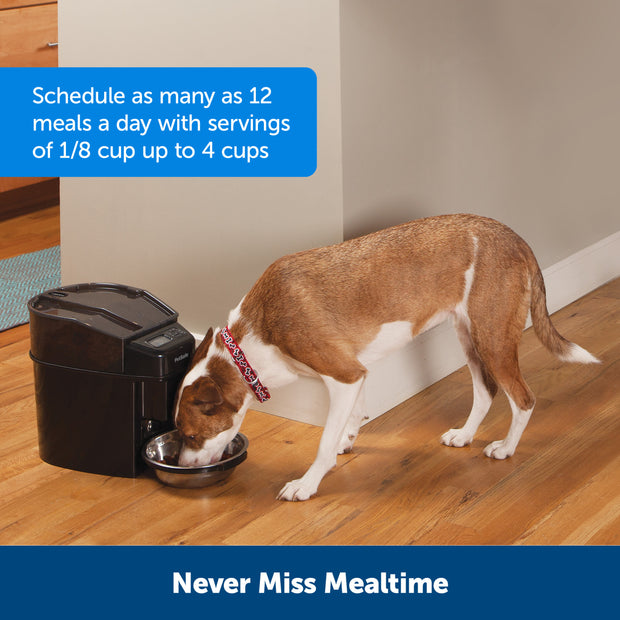 An application scenario or product detail of auto feed pet - Image 17