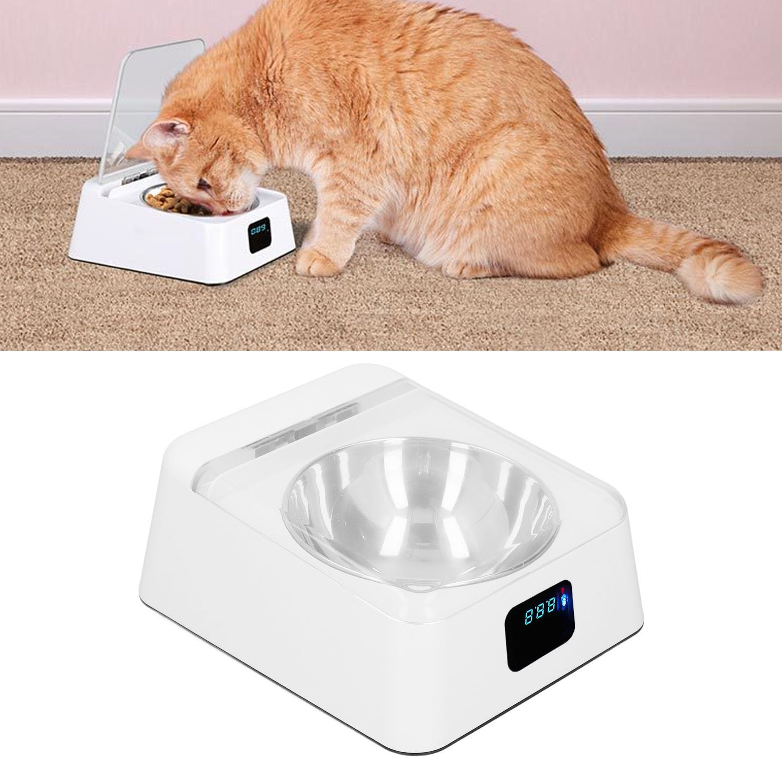 An application scenario or product detail of auto feeder cat bowl - Image 10