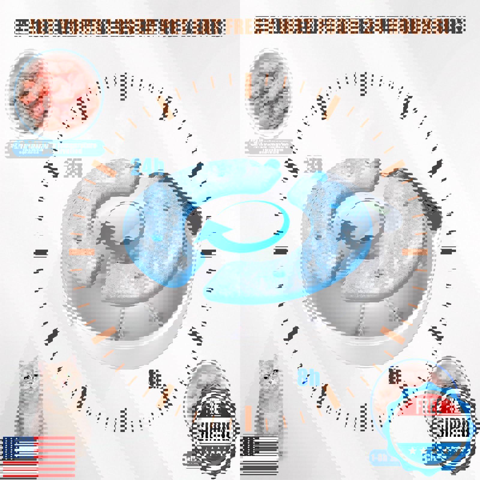 An application scenario or product detail of auto feeder for wet food - Image 12