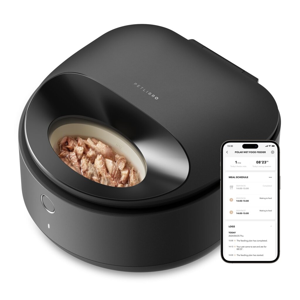 Featured image for the auto feeder for wet food guide