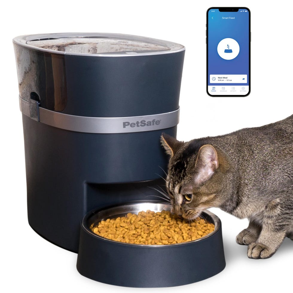 An application scenario or product detail of auto feeder multiple cats - Image 7