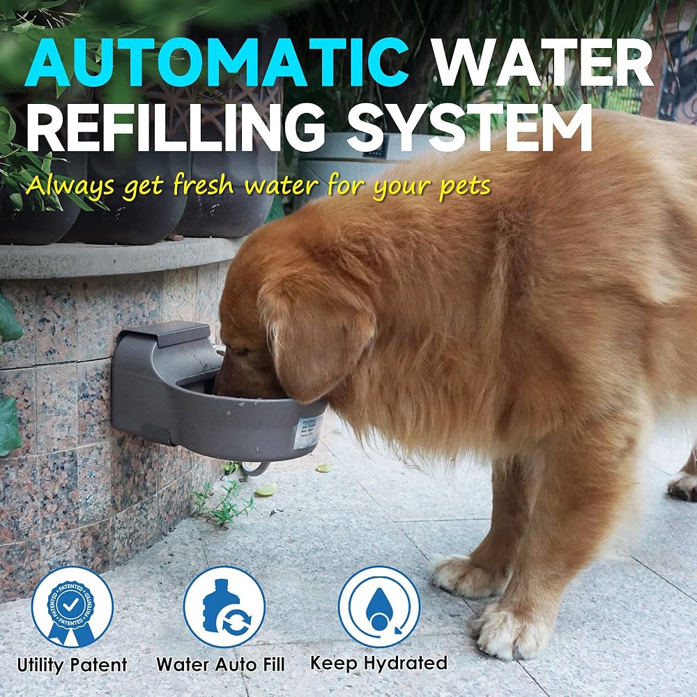 An application scenario or product detail of auto refill dog water bowl - Image 22