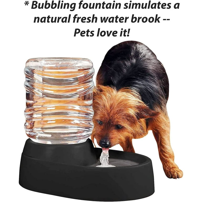 An application scenario or product detail of auto refilling dog water bowl - Image 15