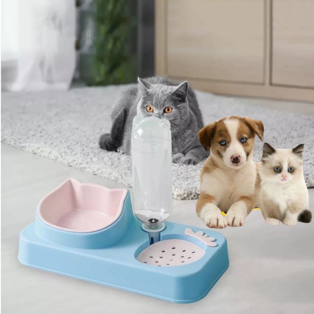 An application scenario or product detail of auto water bowl for cats - Image 9