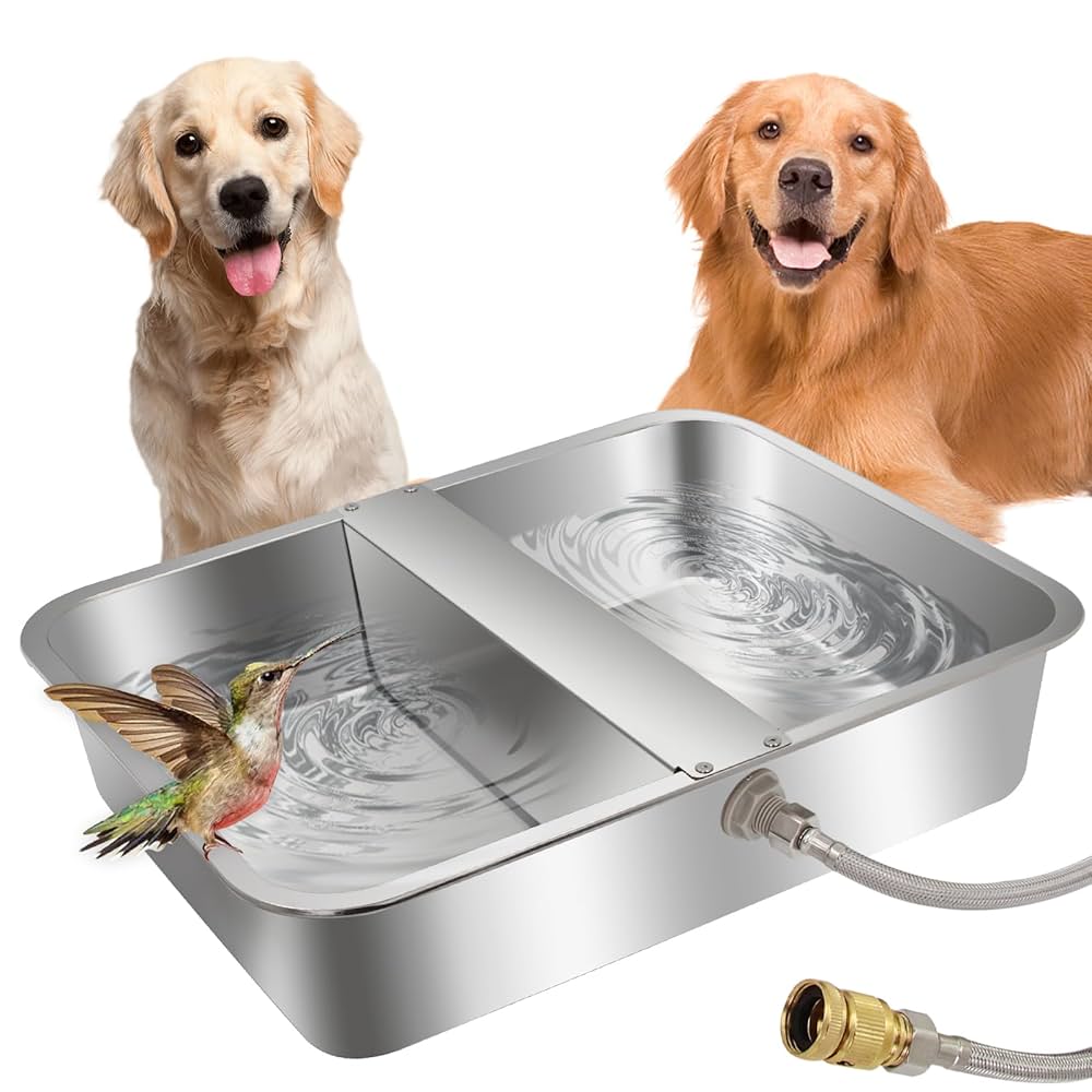 An application scenario or product detail of auto water feeder for dogs - Image 10