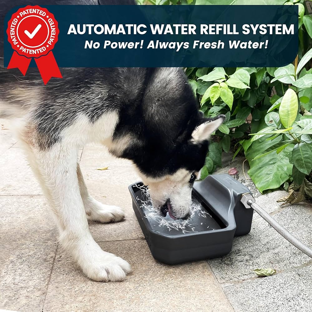An application scenario or product detail of auto water feeder for dogs - Image 14
