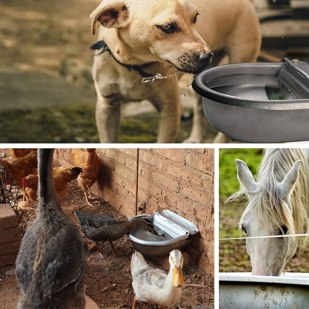 An application scenario or product detail of auto water feeder for dogs - Image 22