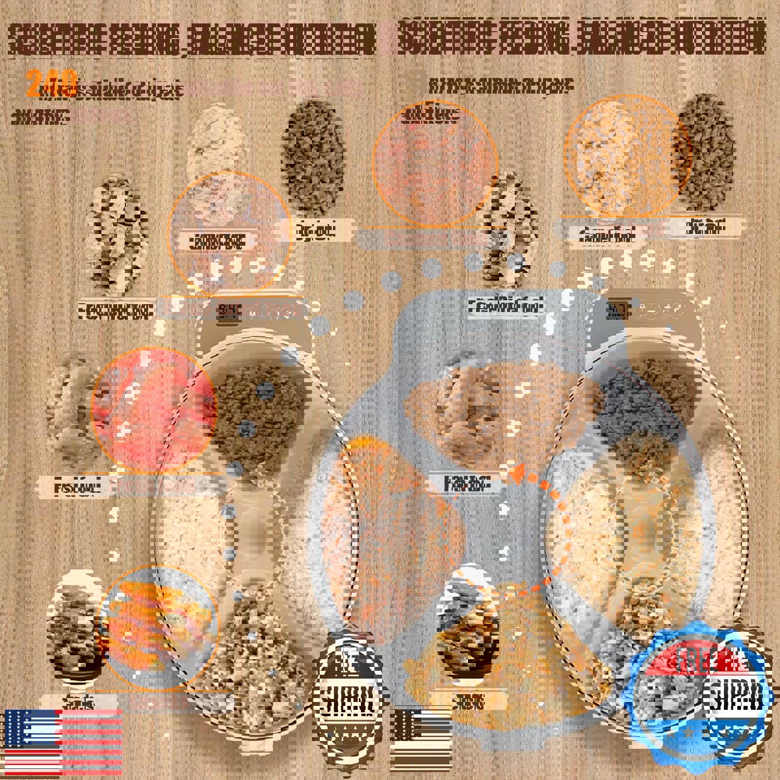 An application scenario or product detail of auto wet food cat feeder - Image 10