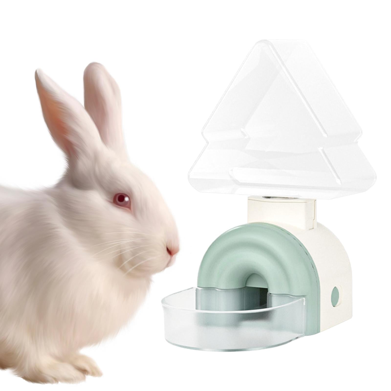 An application scenario or product detail of automatic bunny feeder - Image 10