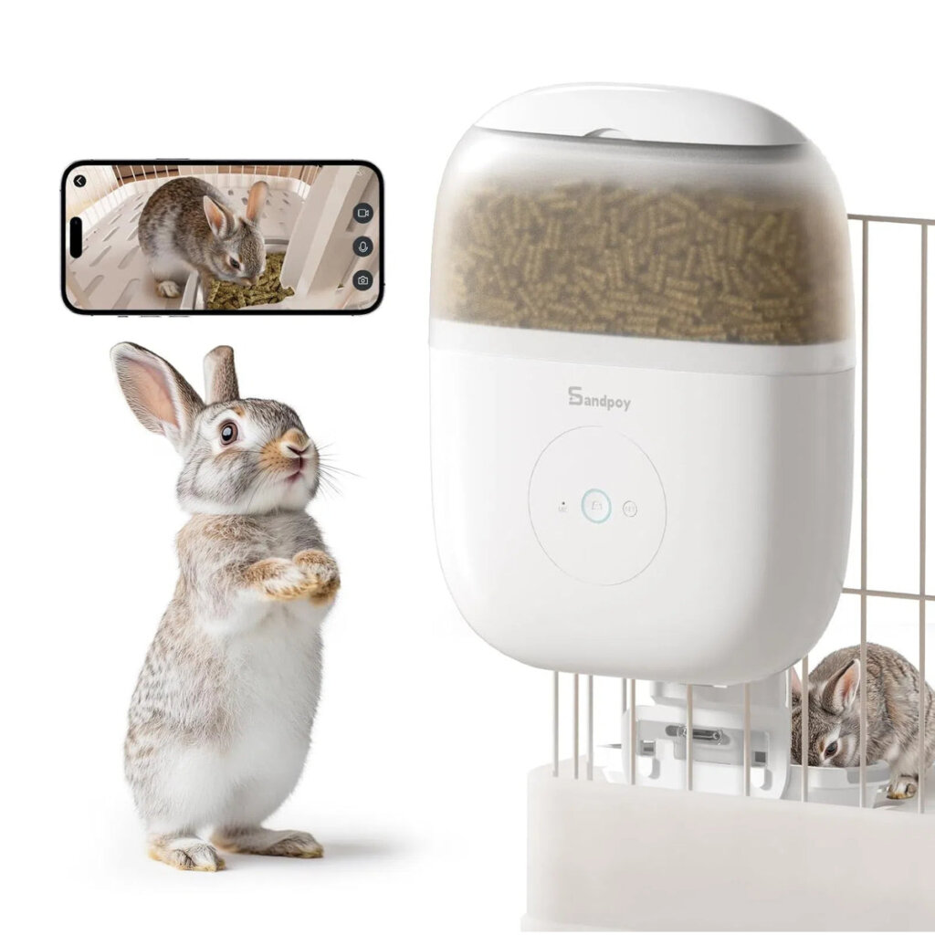 Featured image for the automatic bunny feeder guide