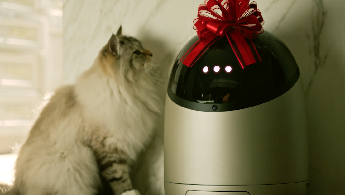 An application scenario or product detail of automatic canned cat food dispenser - Image 15