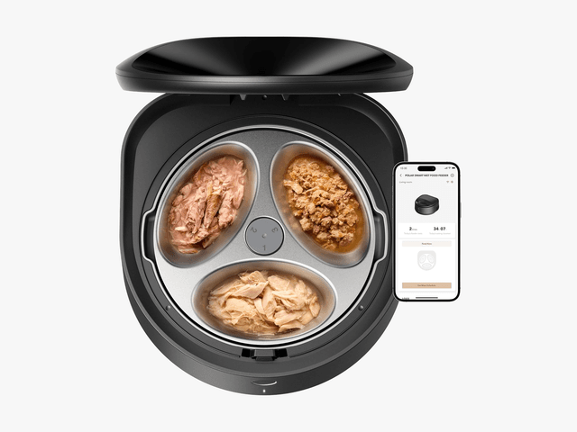 An application scenario or product detail of automatic canned food feeder - Image 14