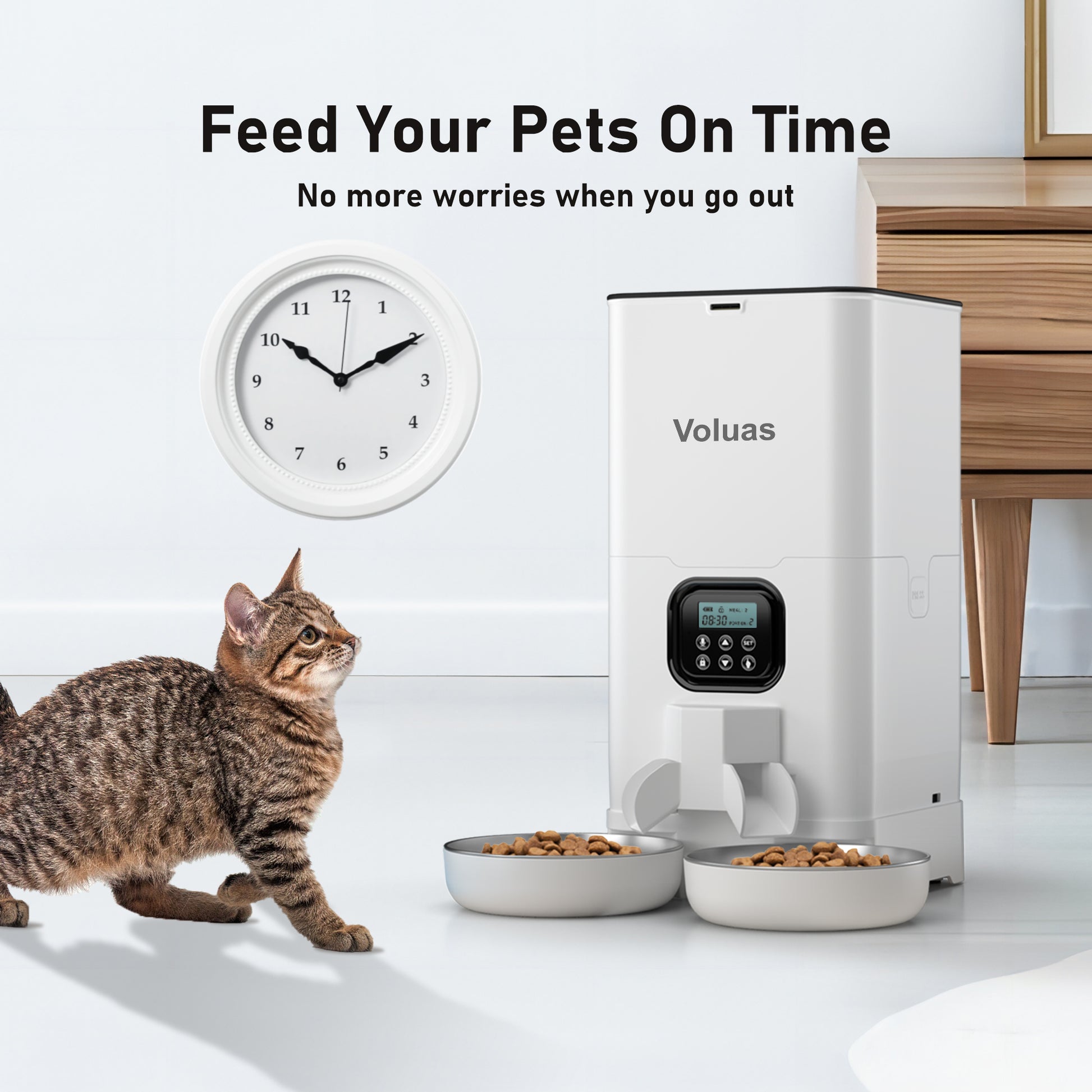 An application scenario or product detail of automatic cat feeder 2 bowls - Image 15