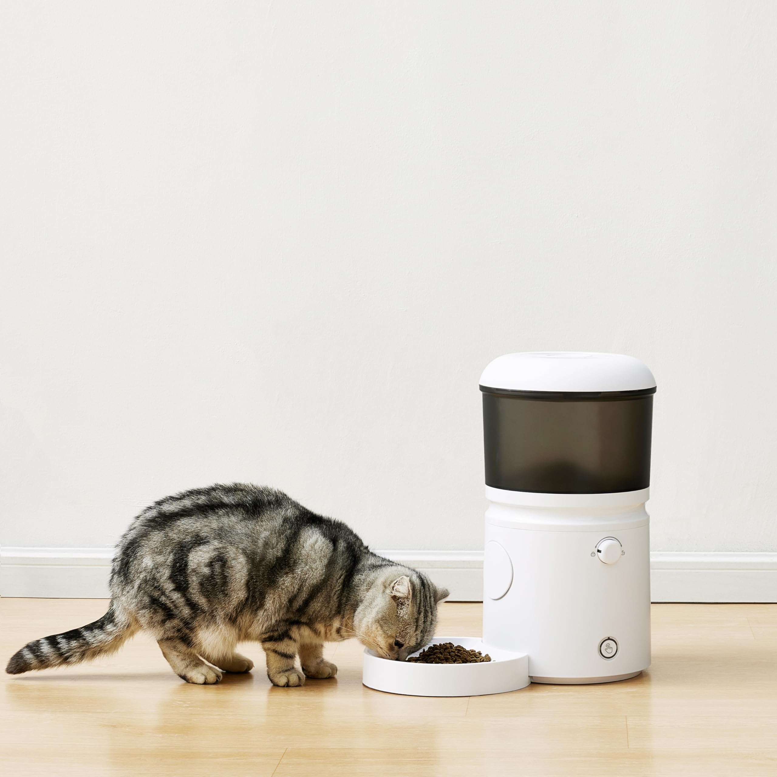 An application scenario or product detail of automatic cat feeder amazon - Image 14