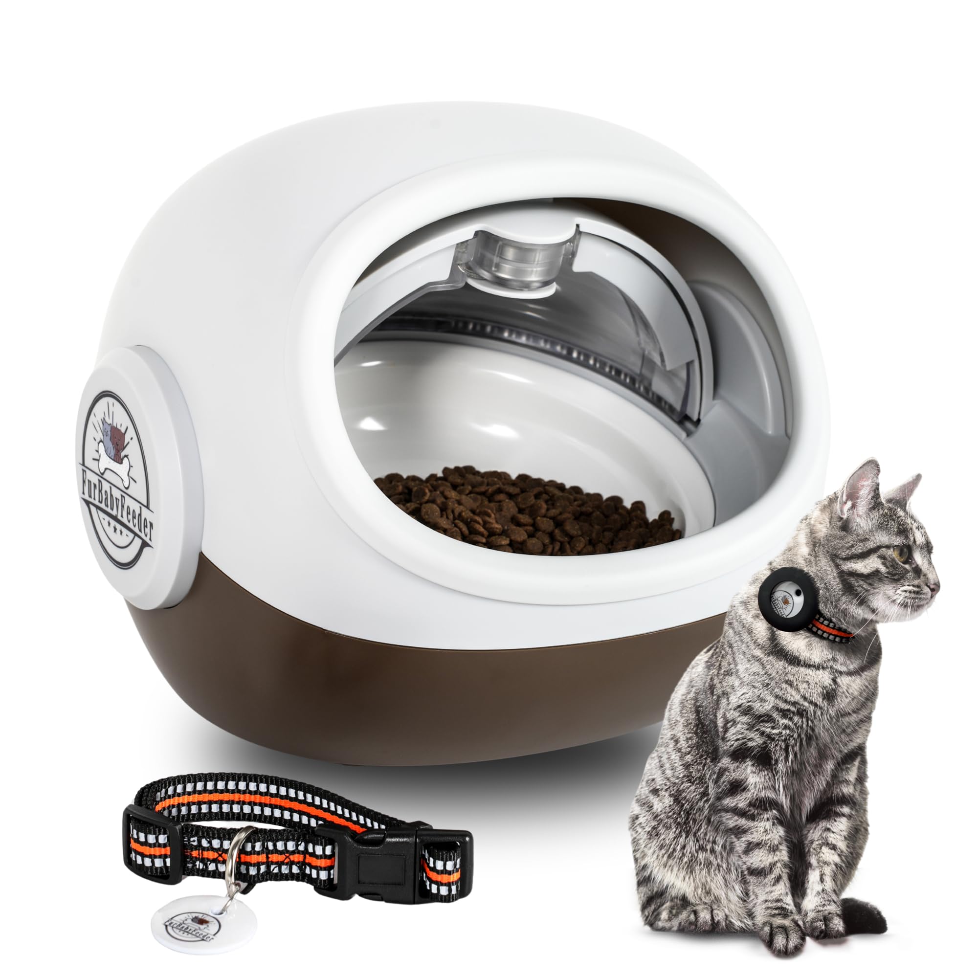 An application scenario or product detail of automatic cat feeder amazon - Image 18